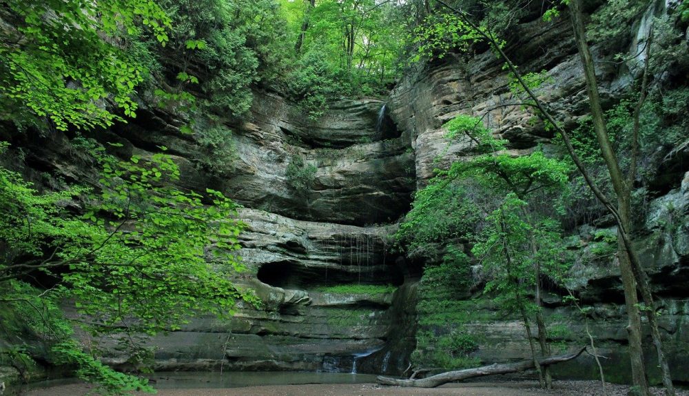 Illinois Nature - Welcome To A World Full Of Wonders